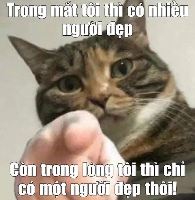 Chồng Hàn sau 1 năm kết hôn
