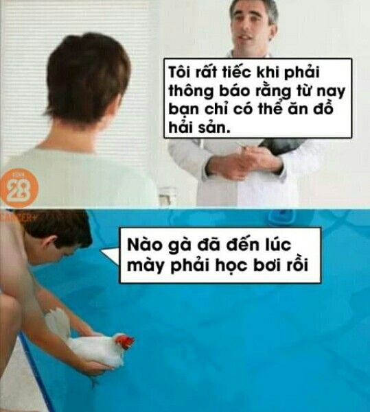 Người Hàn thật sự rất mê các món từ gà 🍗