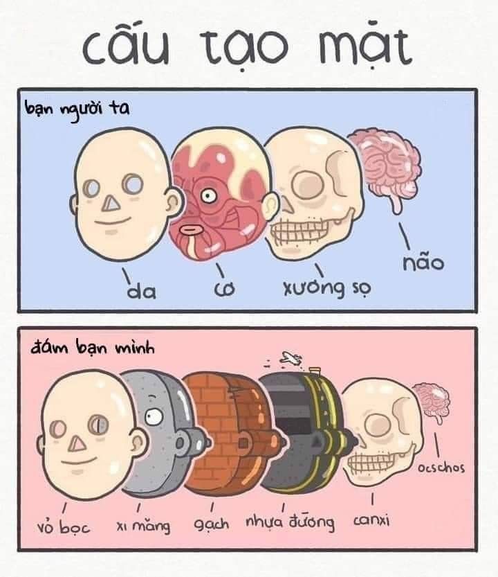 Cụm từ “mặt dày” ở Việt Nam và “얼굴이 두껍다” ở Hàn giống nhau ghê!