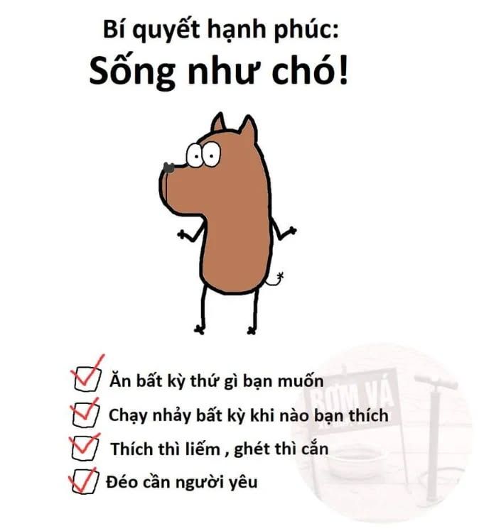 Giờ thì mình thấy quen dần với cuộc sống ở Hàn rồi