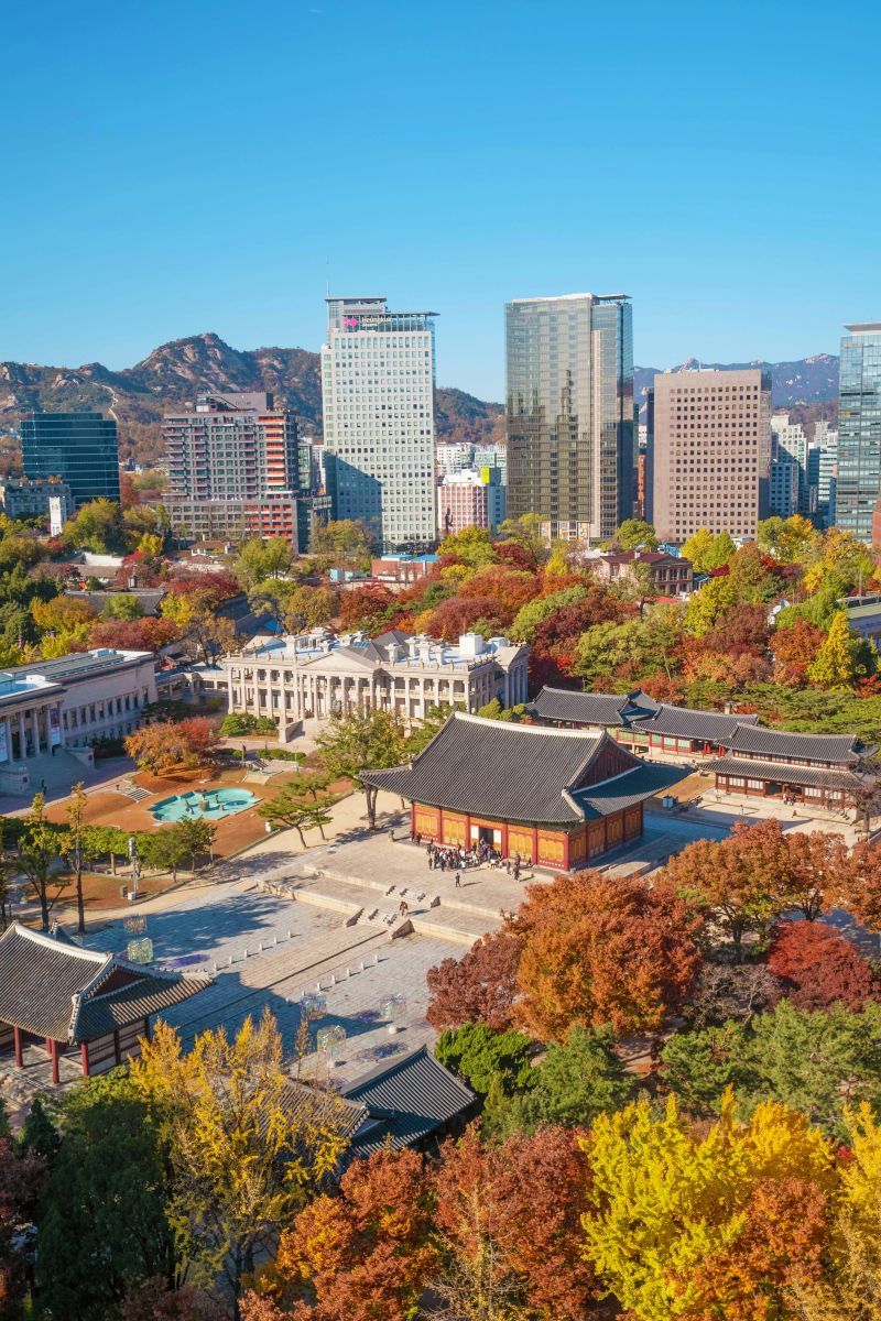 Seoul còn chỗ nào lá vàng lá đỏ đẹp không ạ? Em muốn chụp ảnh mùa thu 🥹🍁