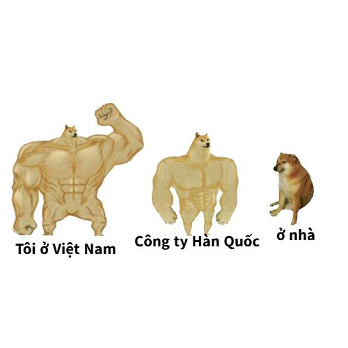Làm việc ở nước ngoài thấy mình nhỏ bé hẳn
