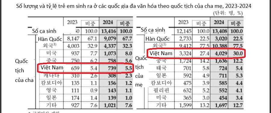 Việt Nam đứng đầu về trẻ sinh ra trong gia đình đa văn hóa tại Hàn Quốc
