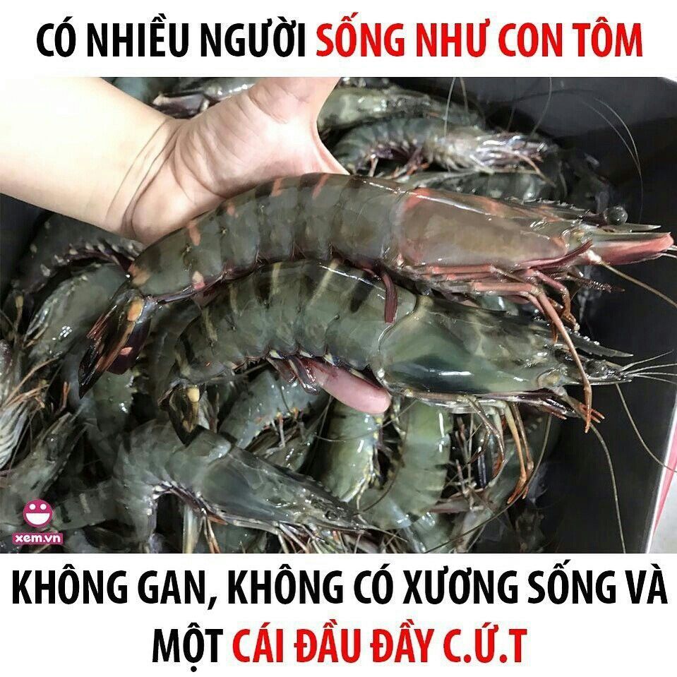 Qua Hàn 4 năm rồi mà tự hỏi mình đang làm gì ở đây